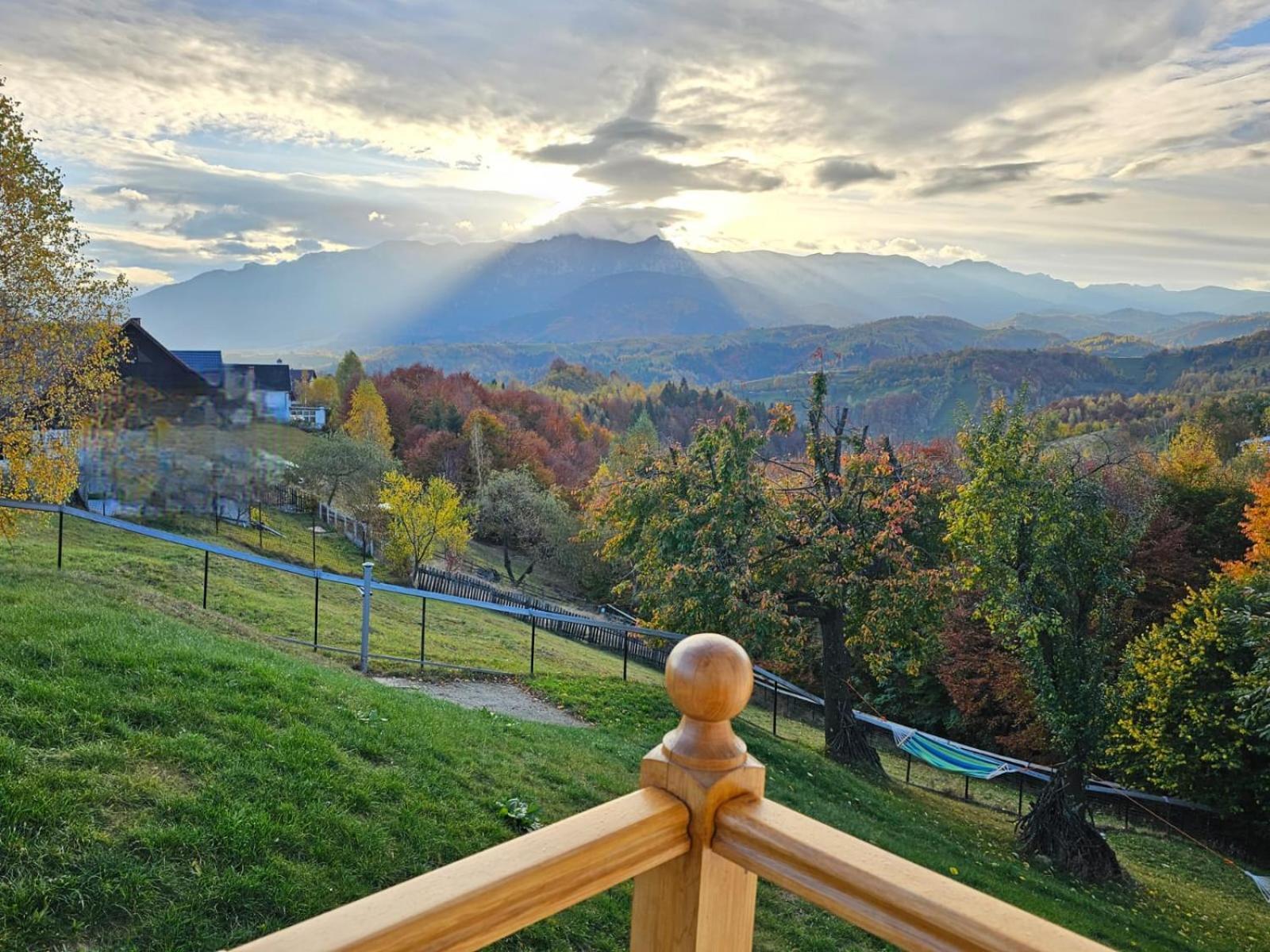 Carpathia Magic -Adults Only Villa Peştera Екстериор снимка
